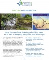 Hinkle Creek Watershed Study